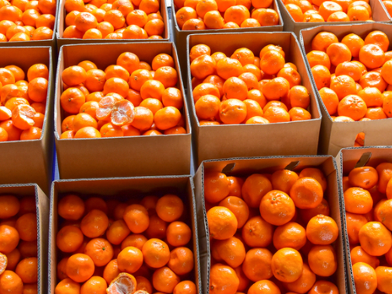 The Markets of Melbourne