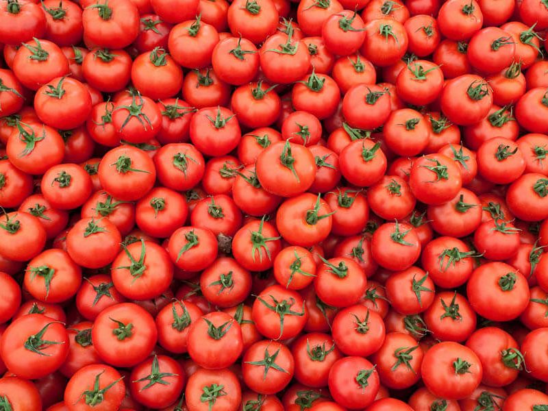 Melbourne Tomato Festival
