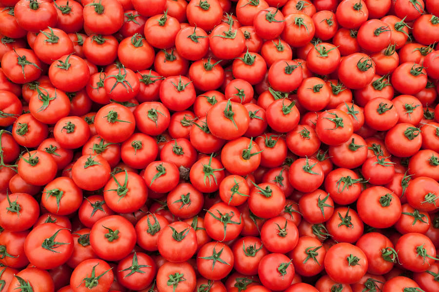 Melbourne Tomato Festival