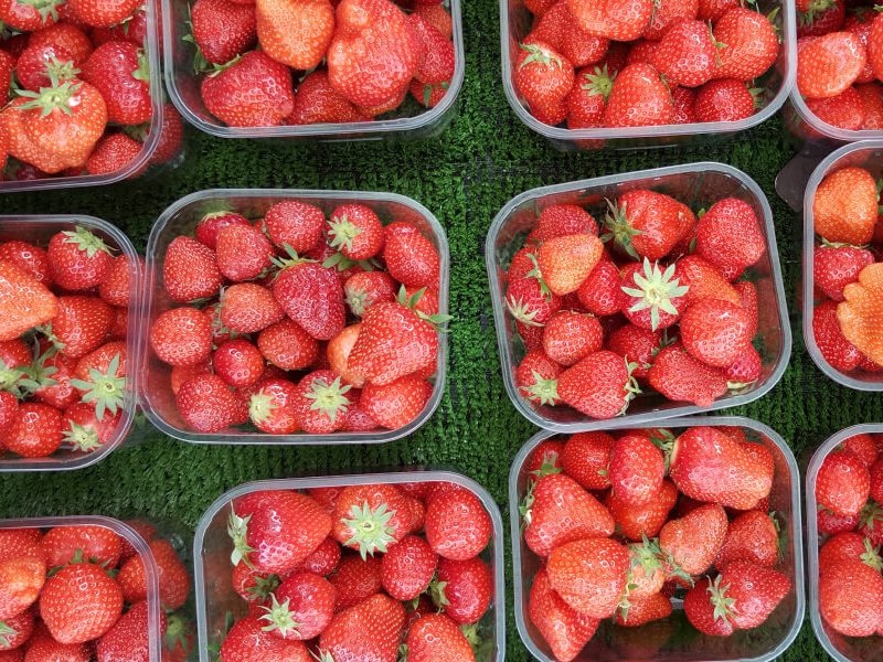 The Big Vegan Market