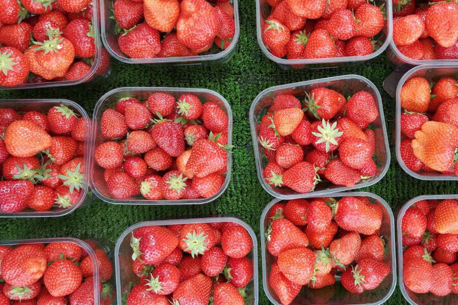 The Big Vegan Market
