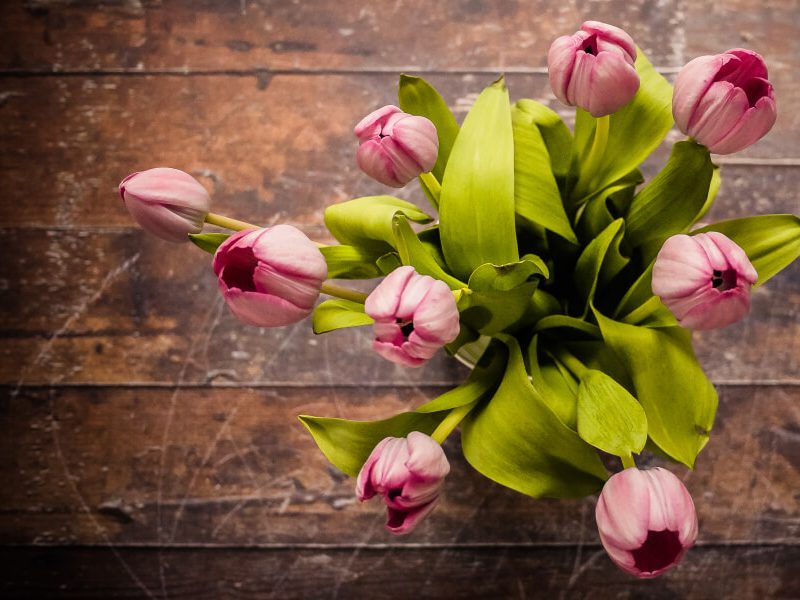 A QT Guide to Mother’s Day