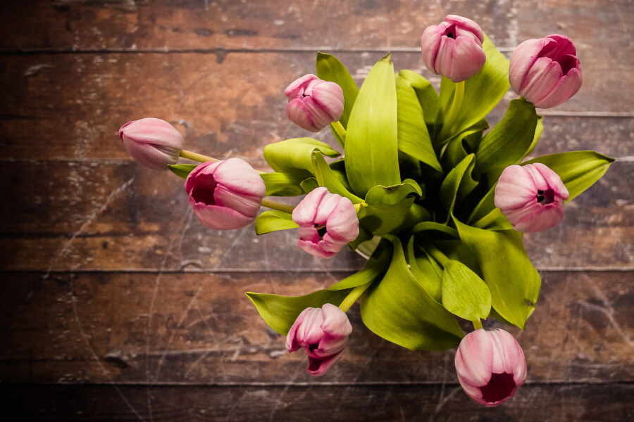A QT Guide to Mother’s Day