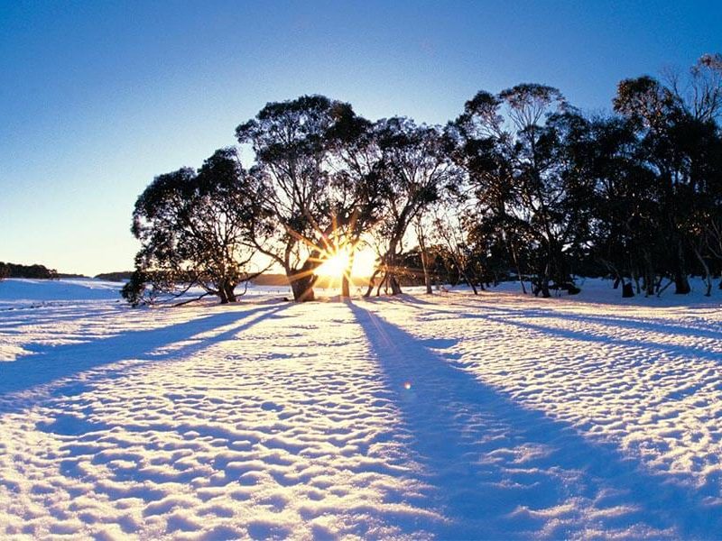 Falls Creek Opening Weekend