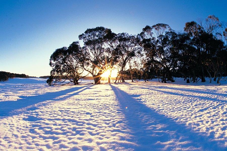 Falls Creek Opening Weekend