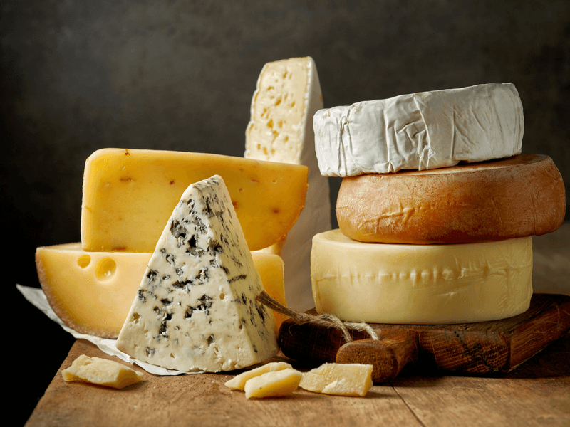 Cheese Festival Fun