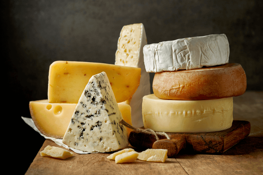 Cheese Festival Fun