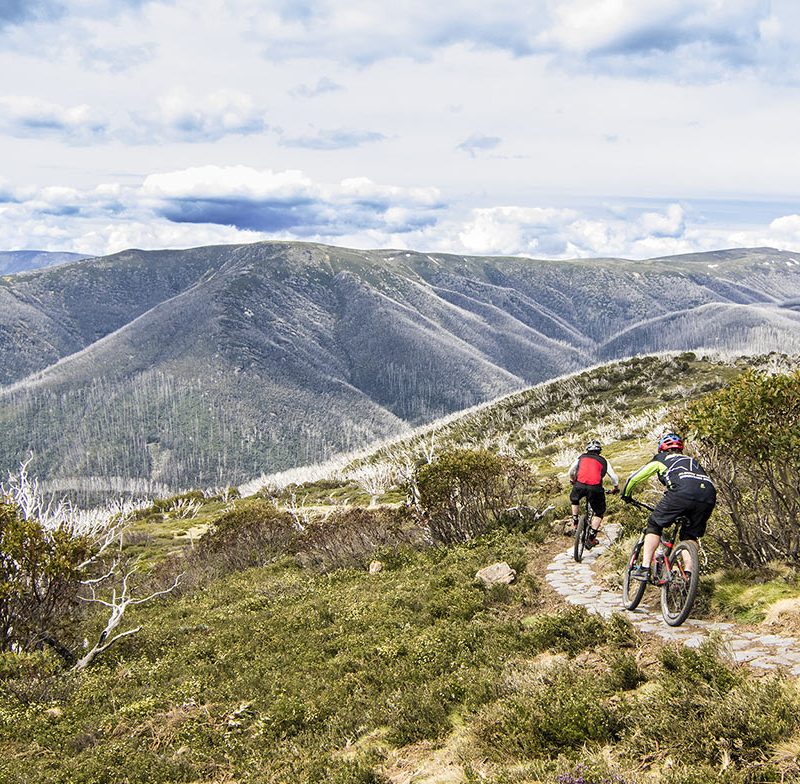 Will you take a pledge to visit a bushfire affected town?