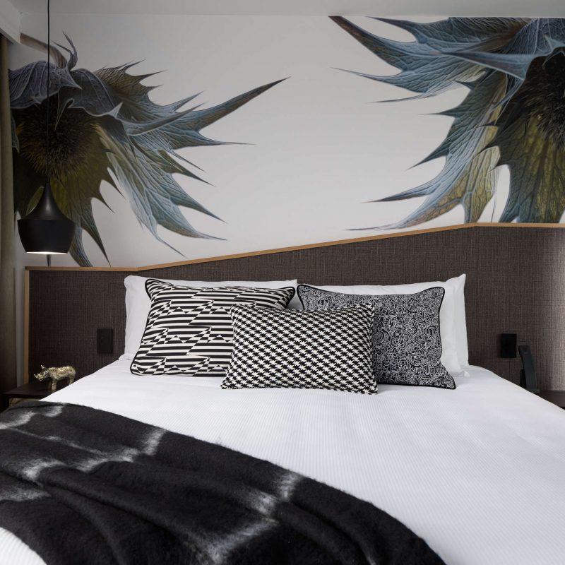 QT Wellington - QT Gallery King - Eryngium Giganteum 1