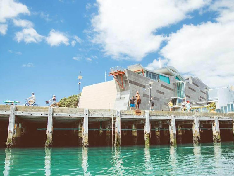 What’s on at Te Papa Museum