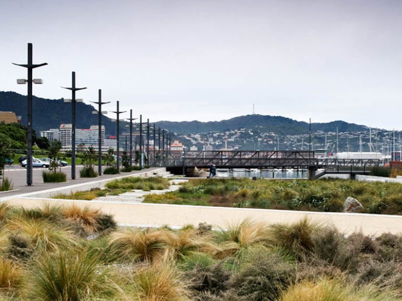 Waitangi Park