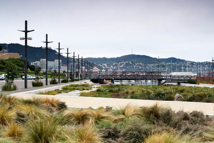 Waitangi Park