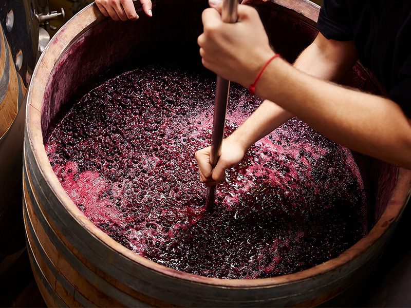 The Winemaker Dinner: The Elder