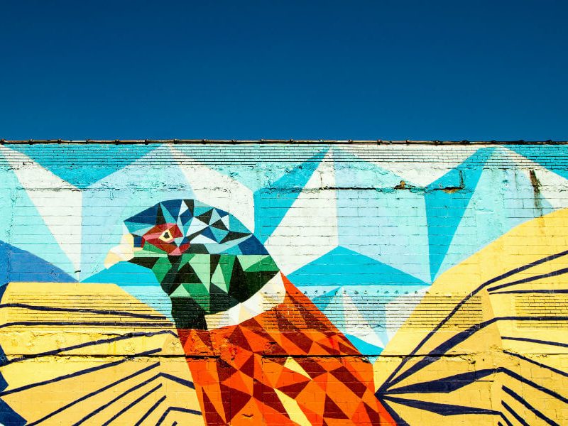 4 Wellington Exhibitions To See Right Now