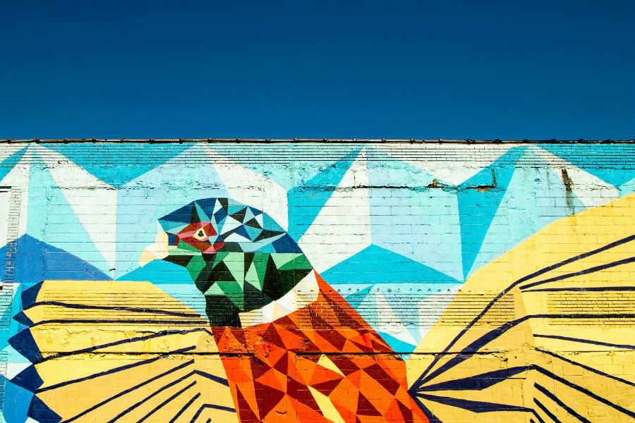 4 Wellington Exhibitions To See Right Now