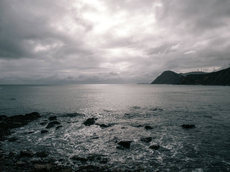 Your Instagram Guide to Welly