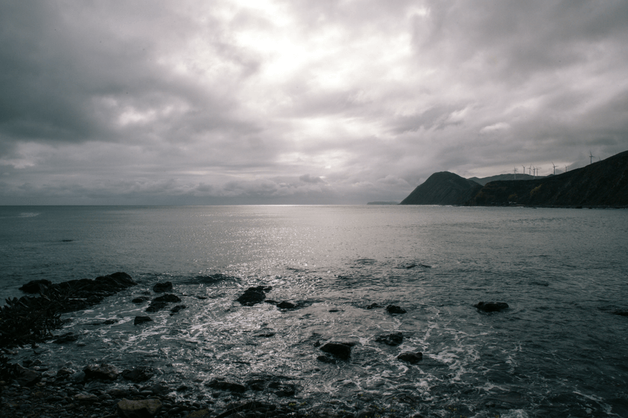 Your Instagram Guide to Welly