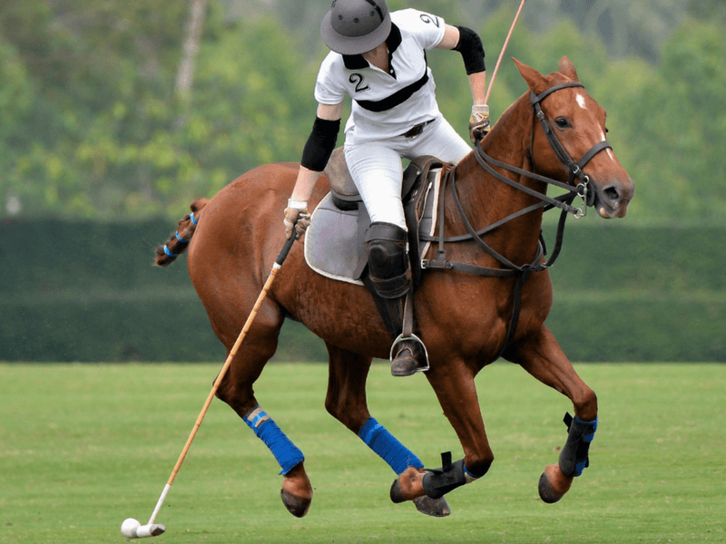 Giddy up, Urban Polo is Back!