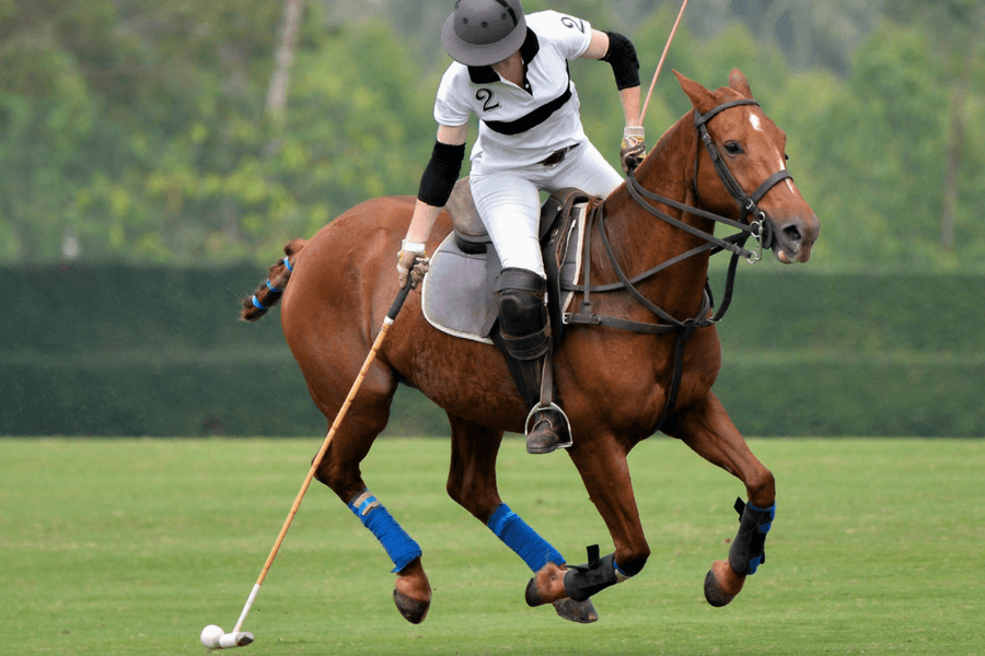 Giddy up, Urban Polo is Back!