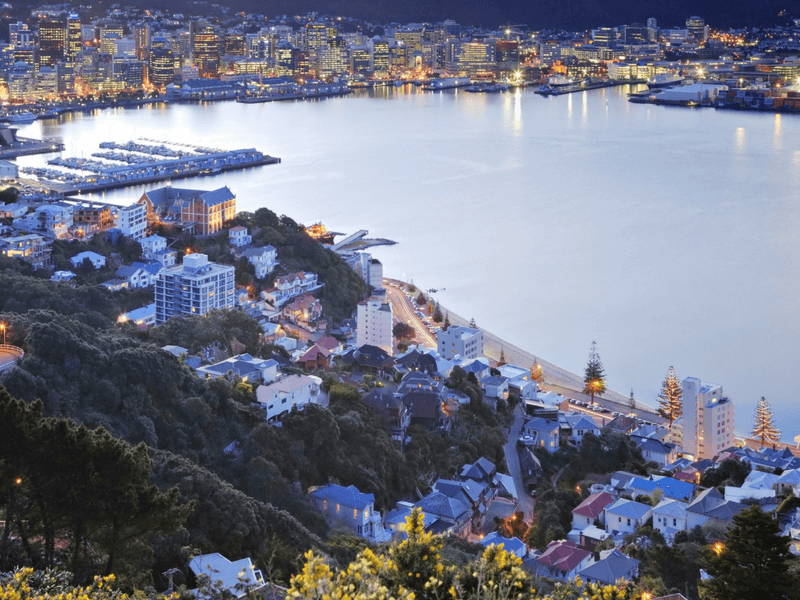 The Best Laughs in Welly