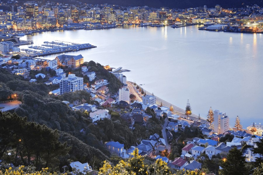 The Best Laughs in Welly