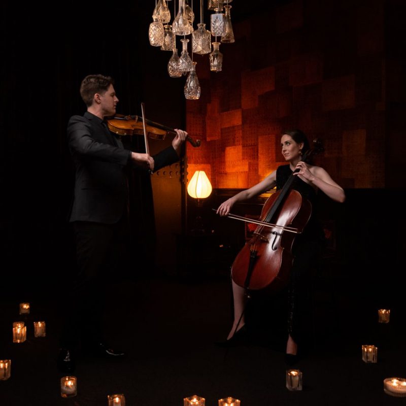 Vivid Strings performance
