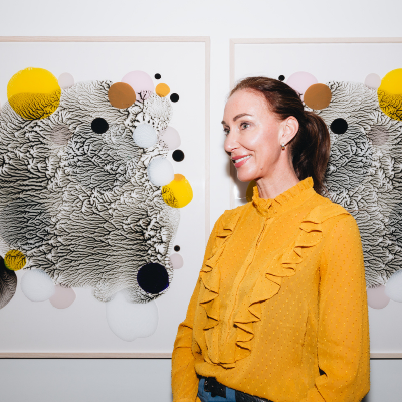 Gallery 6’s first exhibition: Double Up by artist Alexandra Weston