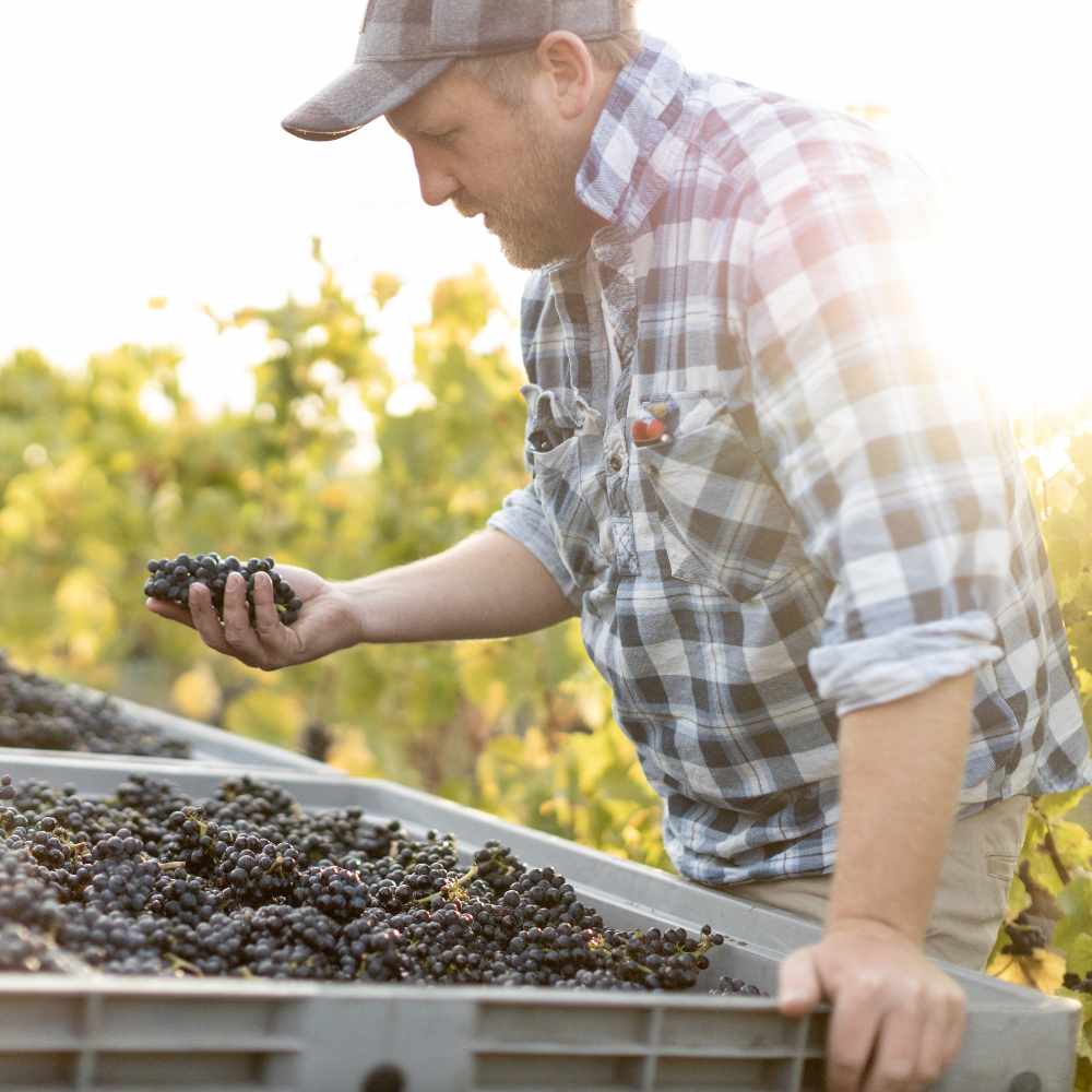 Amisfield’s George Mackersy on his favourite wines