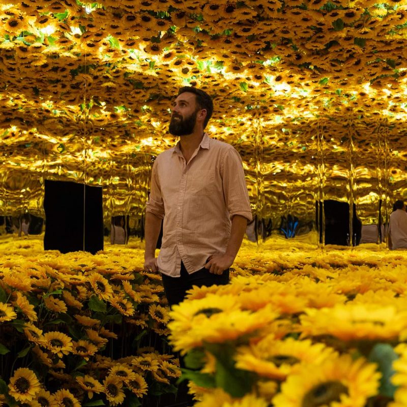 Van Gogh Alive