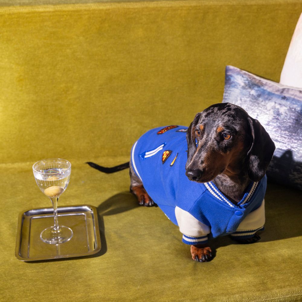 Pup High Tea at QT Perth