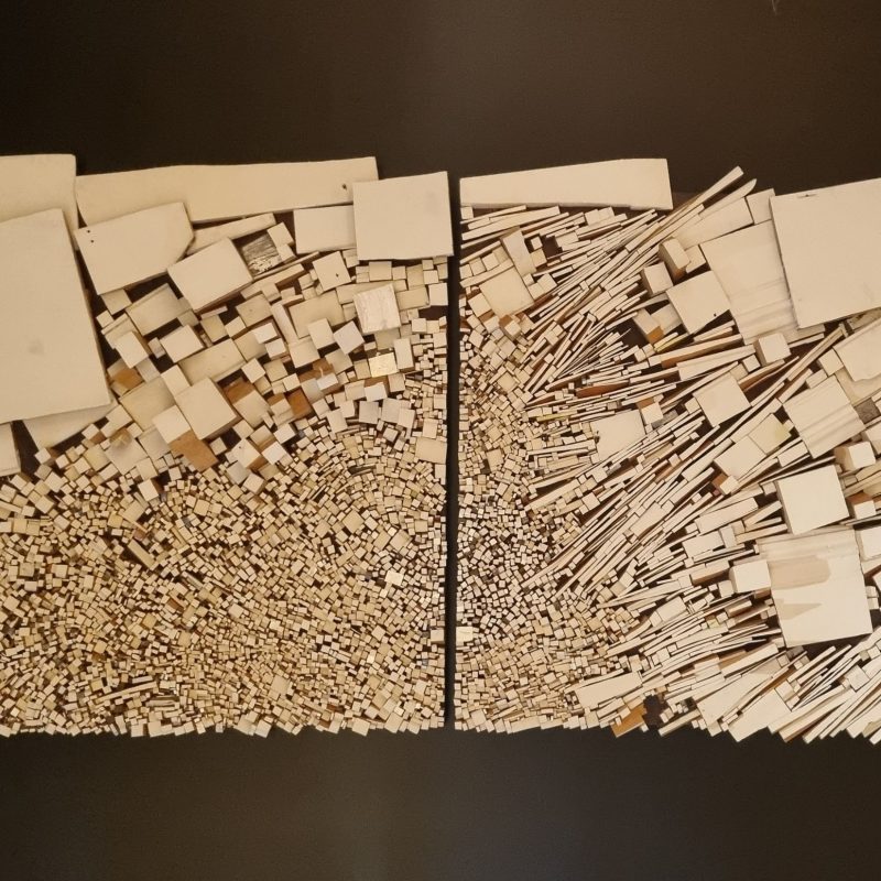 Art Series: A look at sustainable creation, Kōtuku