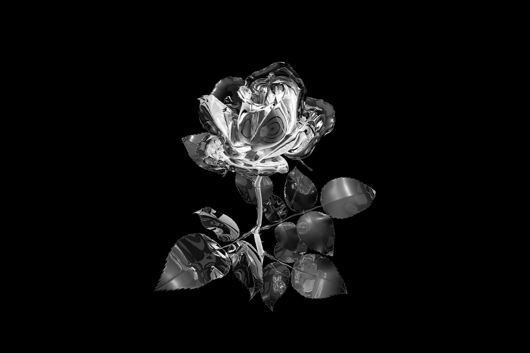 QT Auckland in Bloom; Hye Rim Lee in Residence