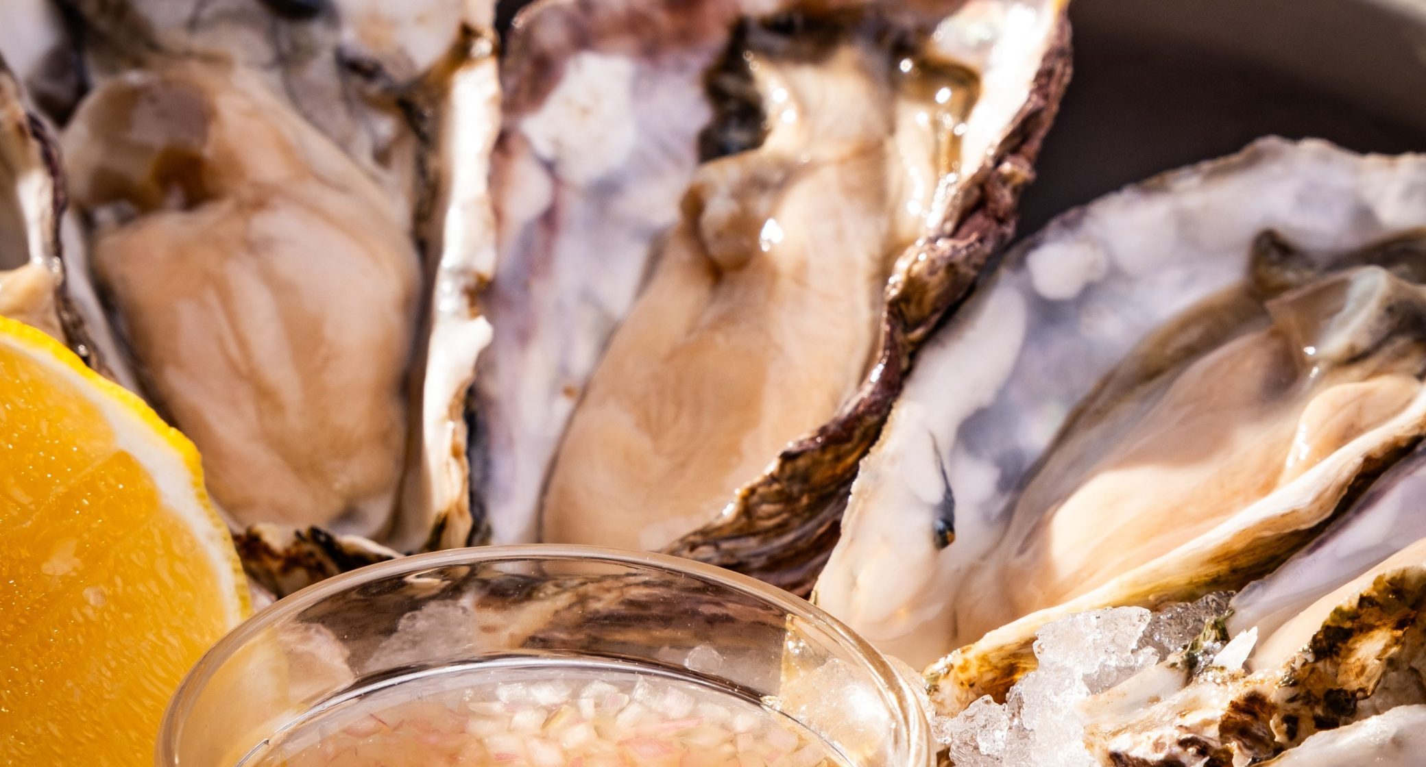 $1 Oysters: Shuck Yeah!