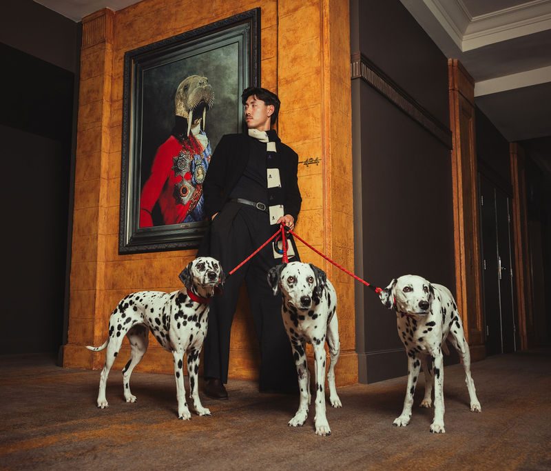 No More Ruffing It: Pups Enjoy The Suite-Life With Pup Yeah! At QT Hotels