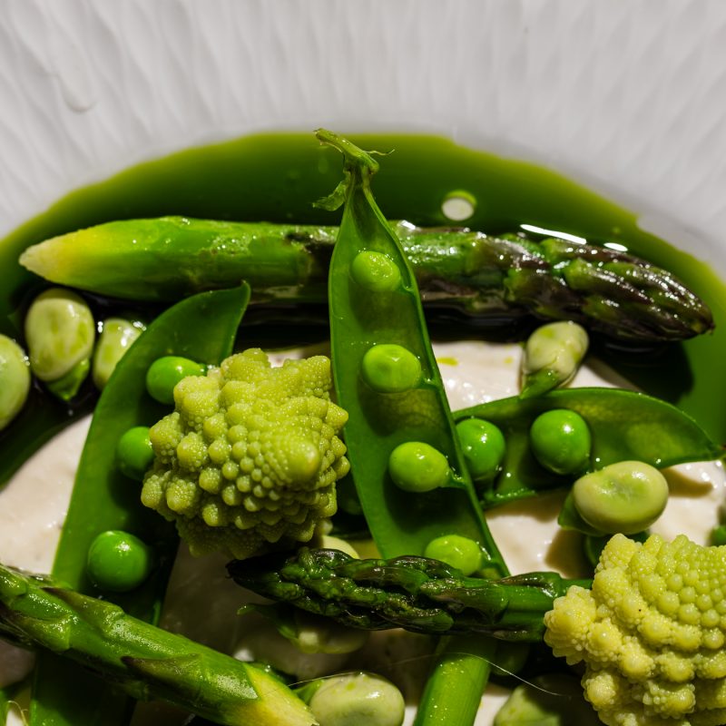Gowings Enters Its Green Era With the Colour of the Season