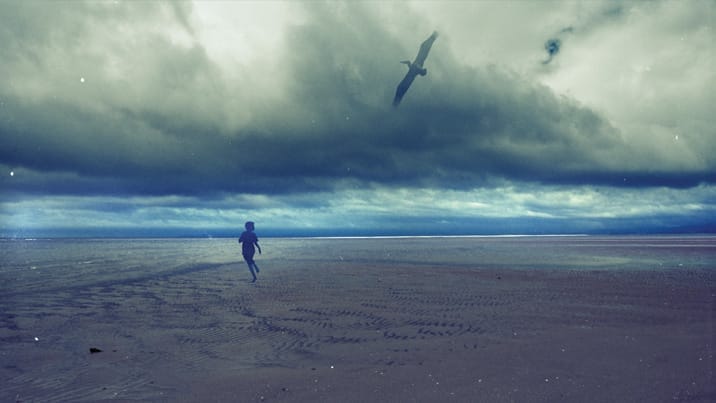 Storm Boy at Sydney Theatre Company