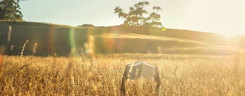 The Sydney Writer’s Festival Is About To Begin