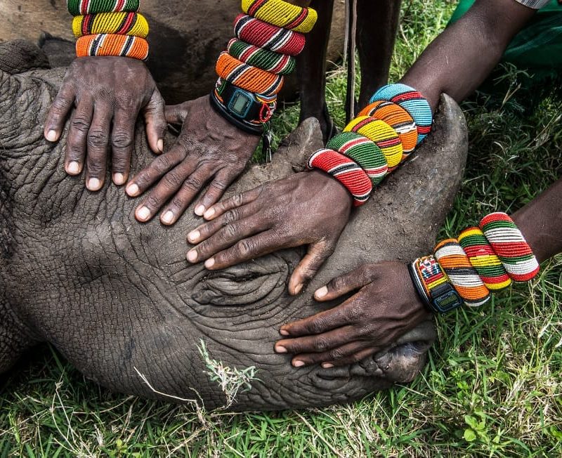 A Real Eye-opener: World Press Photo 2015