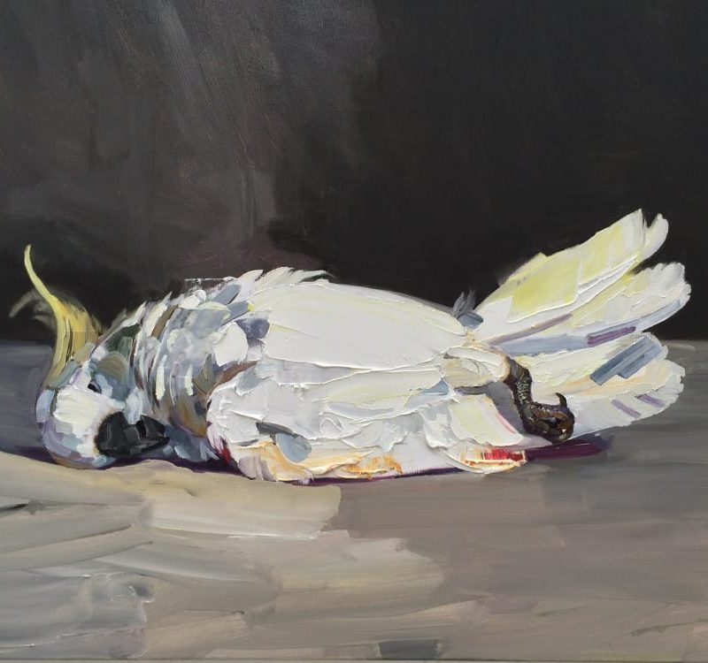 Sydney Contemporary: Australasia’s International Art Fair