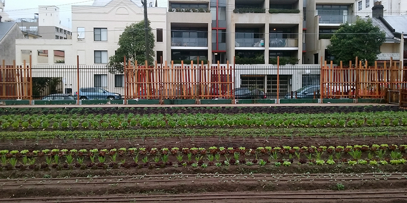 Camperdown Commons