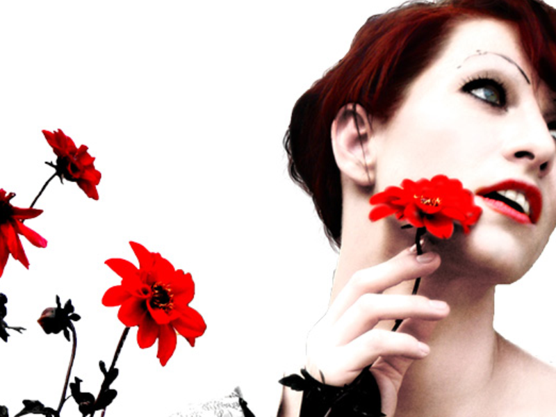 An Evening with Amanda Palmer