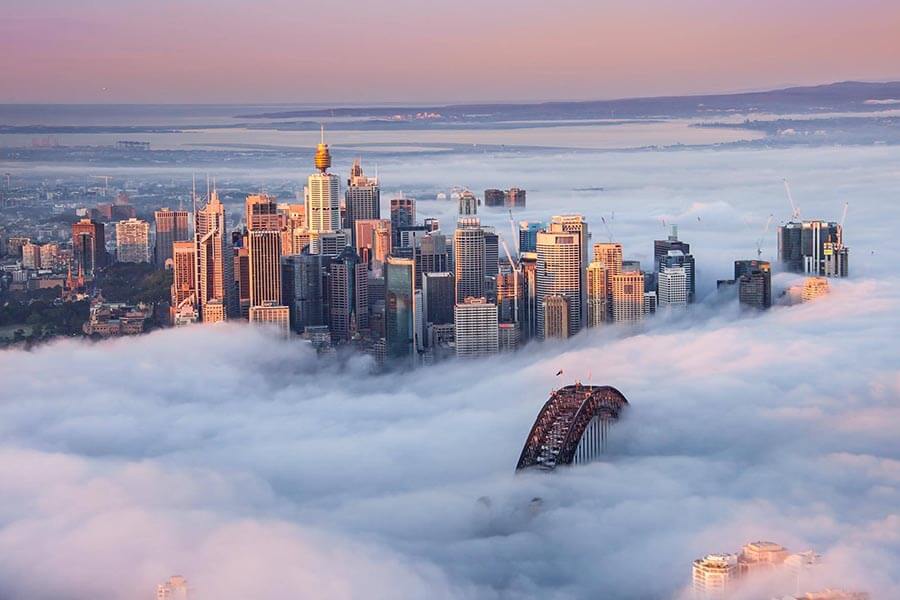 City skyline partially obscured by fog, with skyscrapers peeking through and Sydney Harbour Bridge visible. Soft pink and blue sky.
