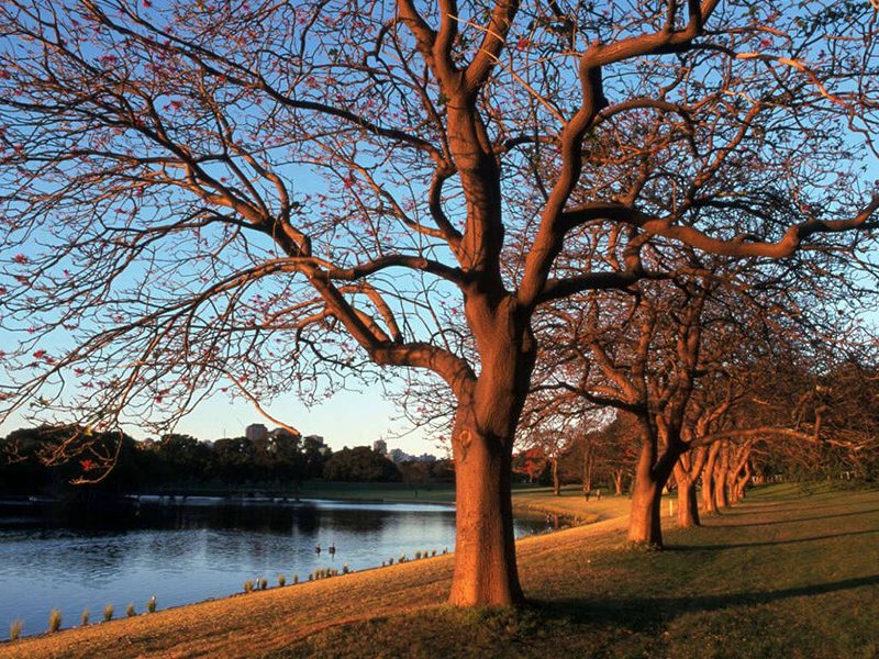 Where to get your nature-fix in Sydney