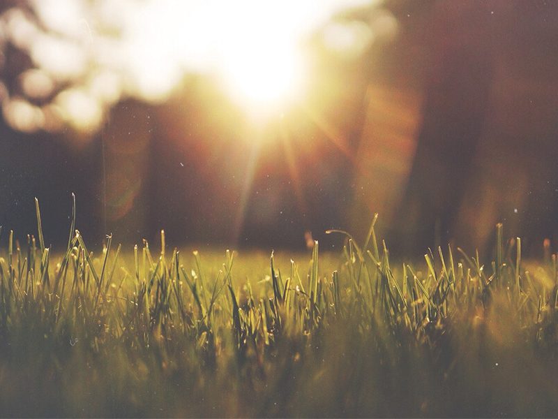 Weekend Plans: Lost Picnic