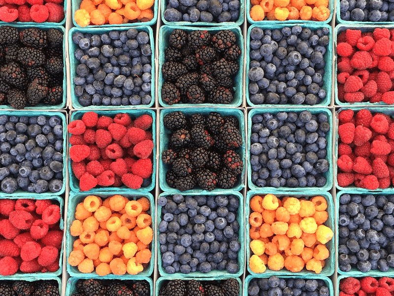 Sydney Farmers Markets not to be Missed