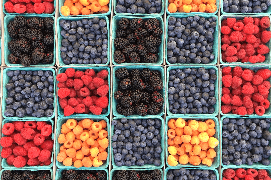 Sydney Farmers Markets not to be Missed