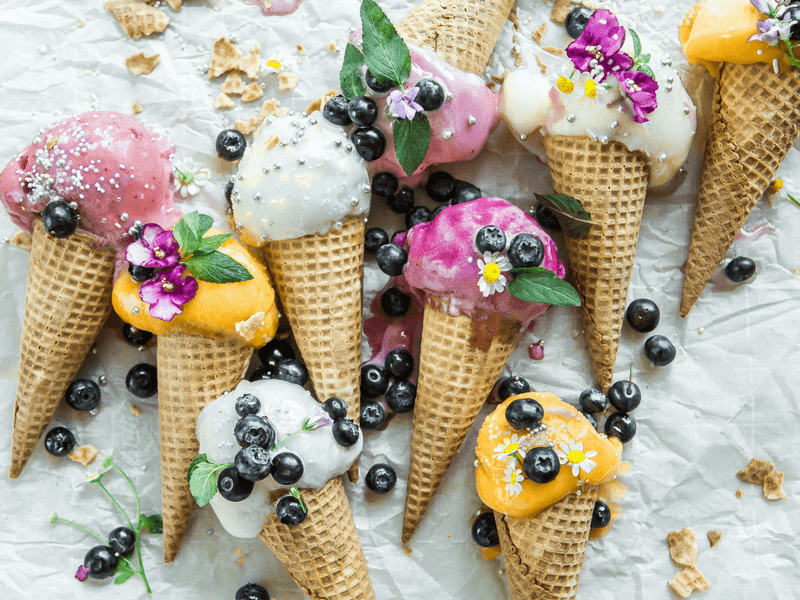 Where to Eat During Sydney Festival