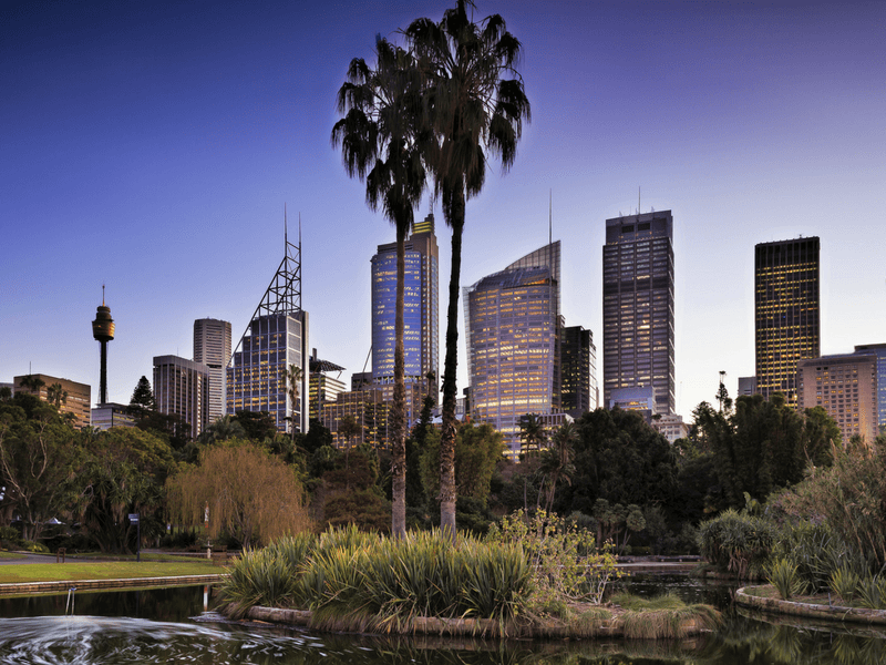Explore the Botanic Gardens at Night