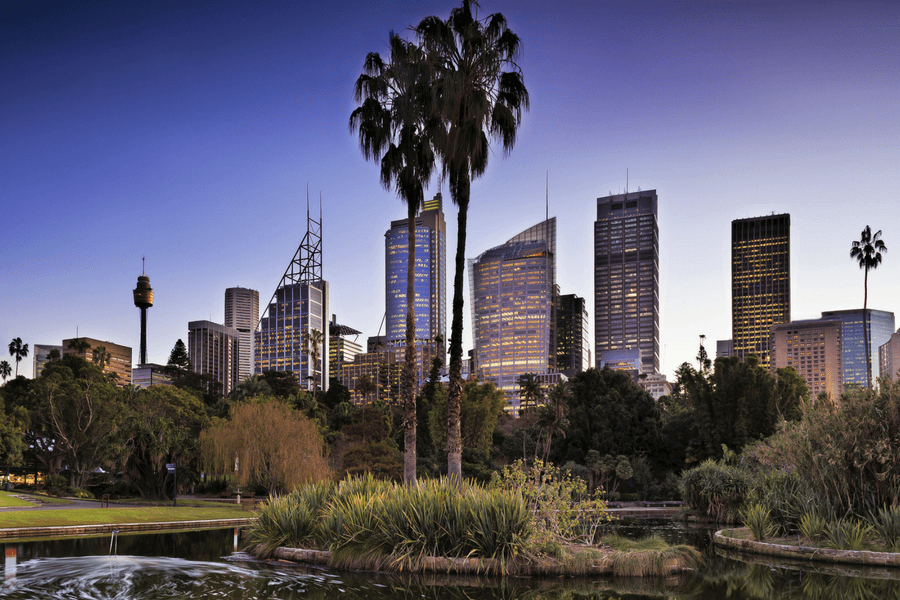 Explore the Botanic Gardens at Night