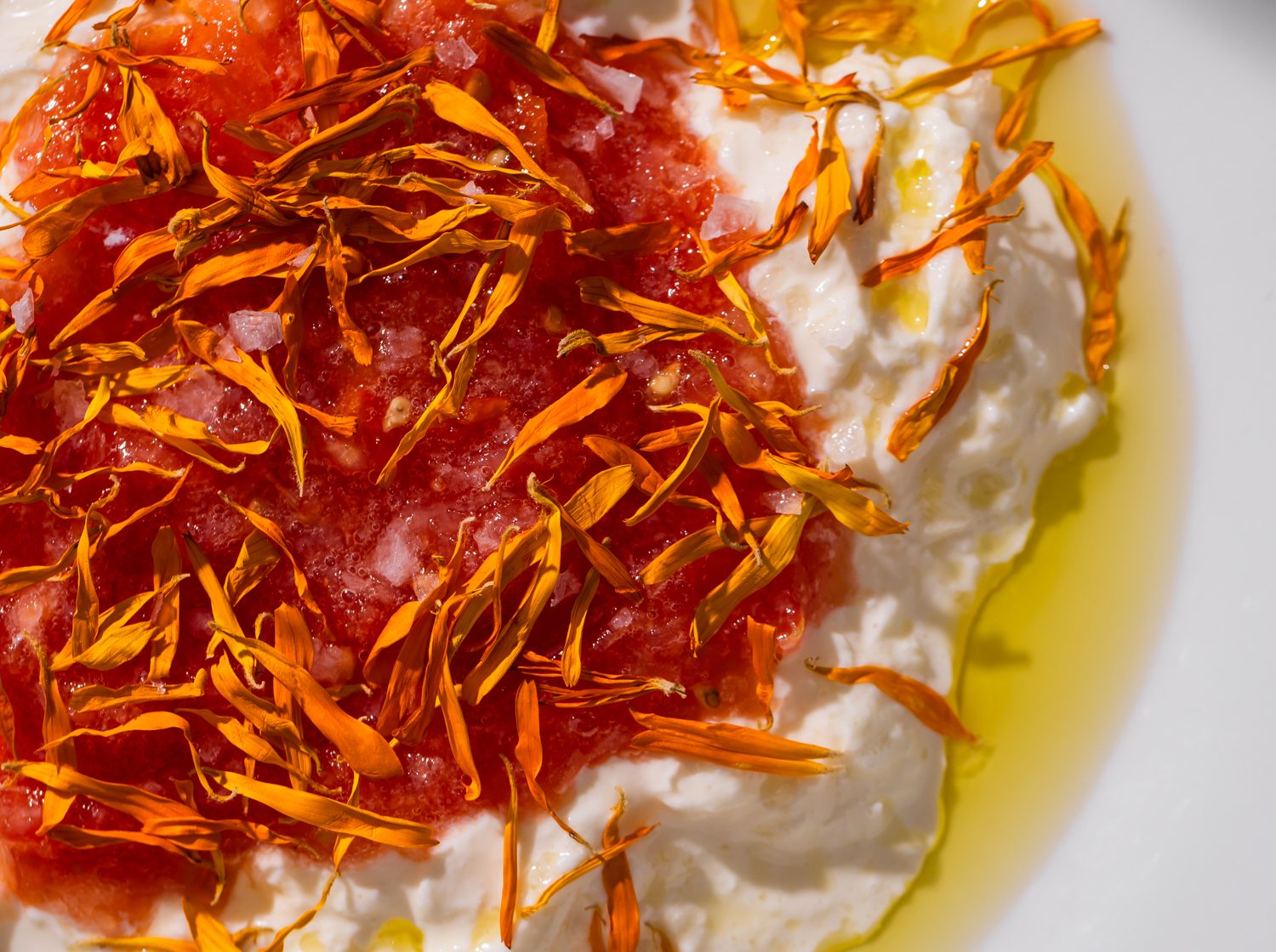 Burrata Curds